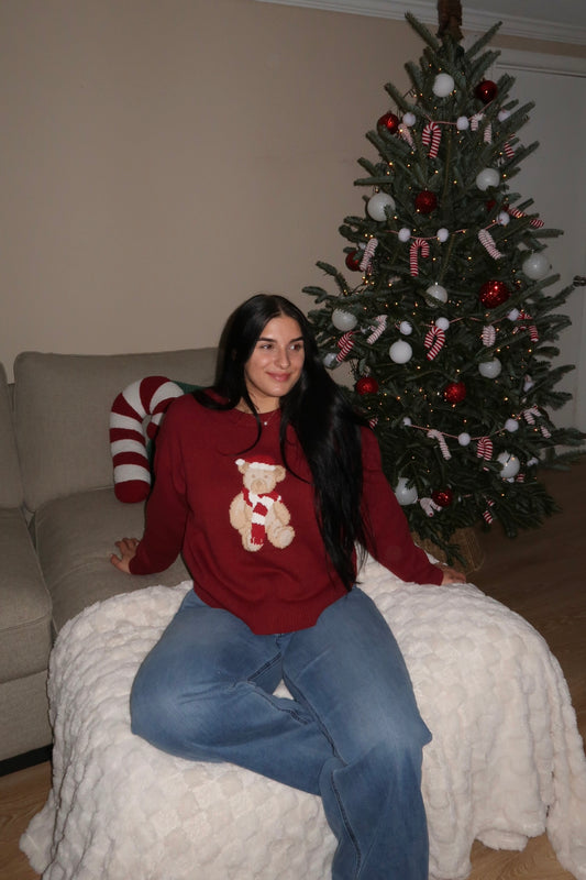 Chilly Teddy Sweater